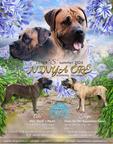 Boerboel welpe