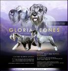 Mittel Schnauzer Pfeffer und Salz