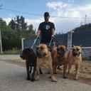 Profile photo of the user kavgapresa